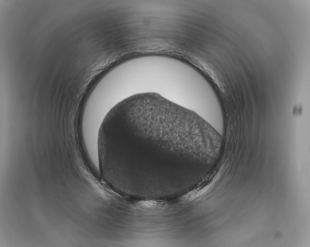 X0000094440589200711291638