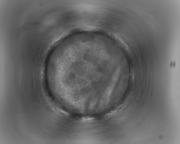 X0000094440591200711291638