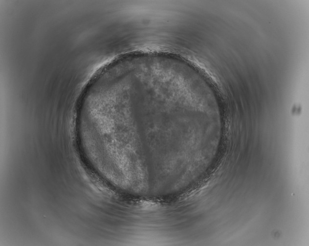 X0000094440592200711291638