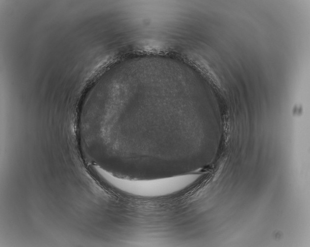 X0000094440593200711291638