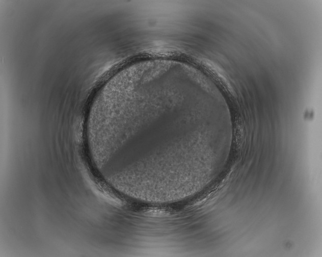 X0000094440596200711291638