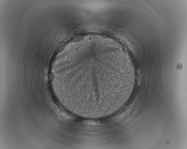 X0000094440597200711291638