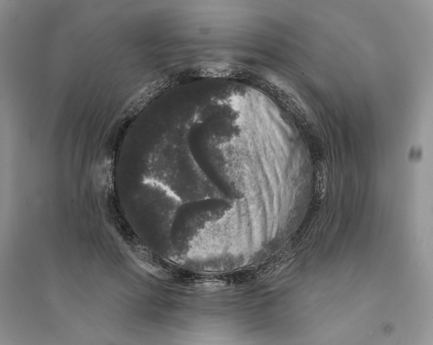 X0000094440598200711291638