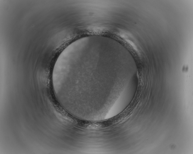 X0000094440599200711291638