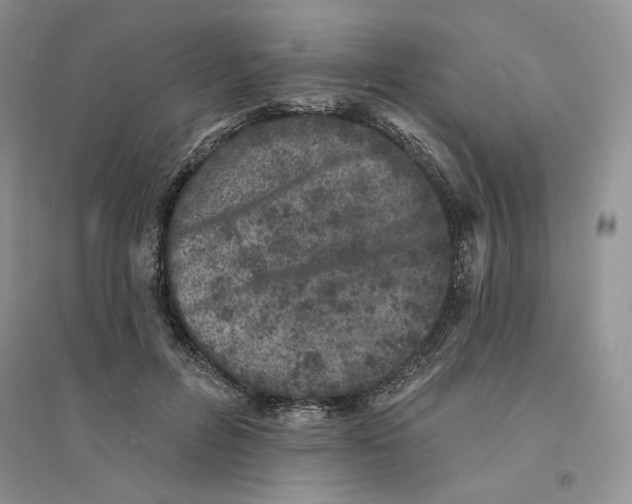 X0000094440600200711291638