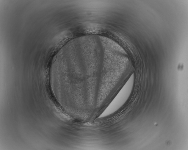 X0000094440601200711291637