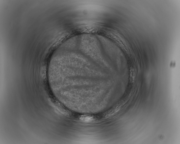 X0000094440602200711291637