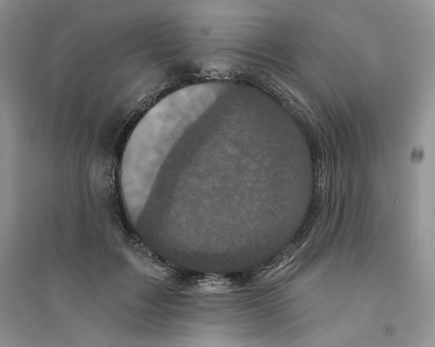 X0000094440603200711291637