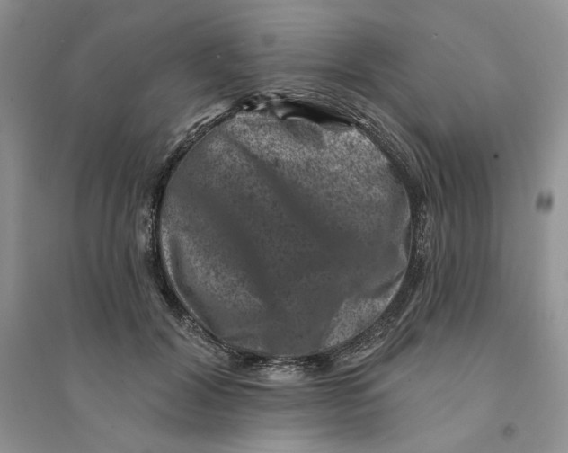 X0000094440604200711291637