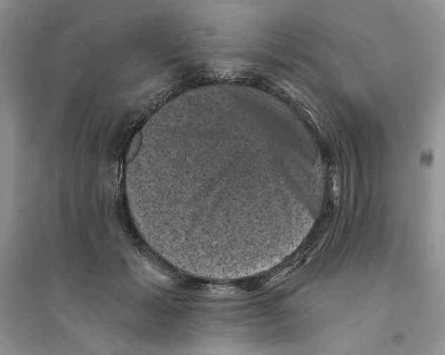 X0000094440605200711291637