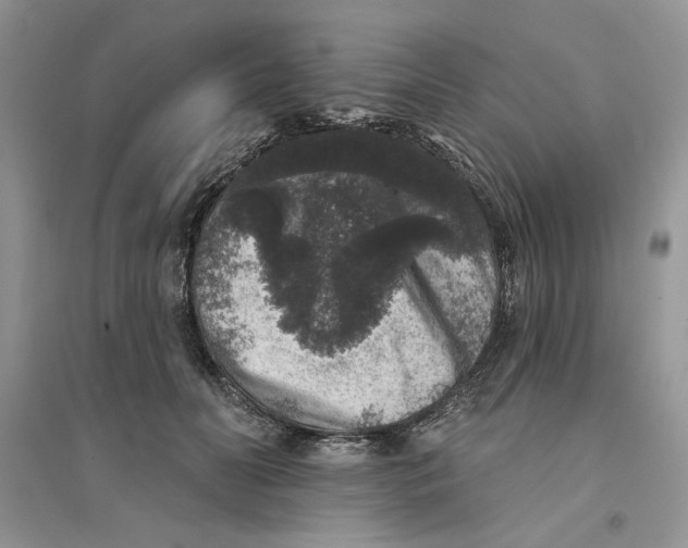 X0000094440606200711291637