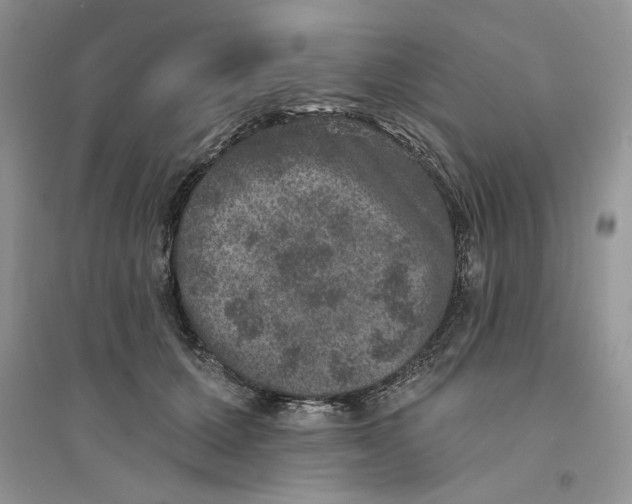 X0000094440607200711291637