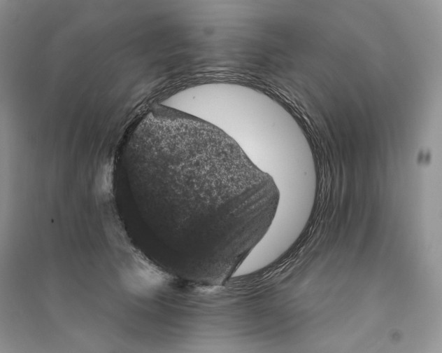 X0000094440609200711291637