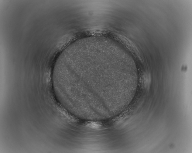 X0000094440610200711291637