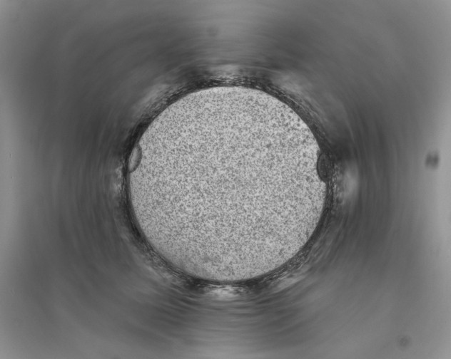 X0000094440611200711291637