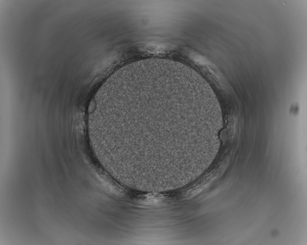 X0000094440612200711291637