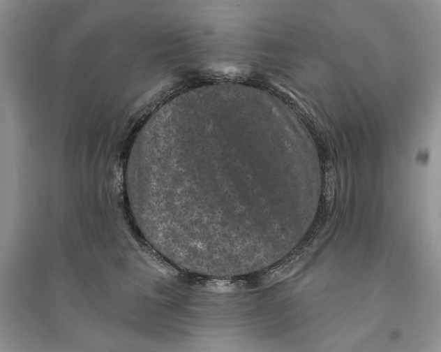 X0000094440613200711291637