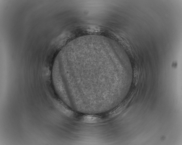 X0000094440614200711291637