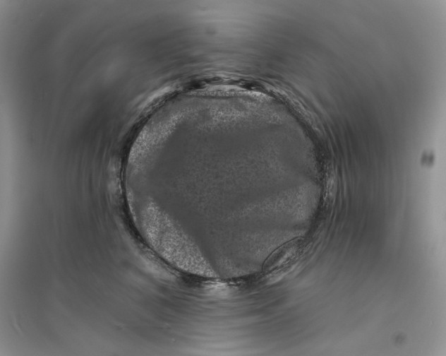 X0000094440616200711291637