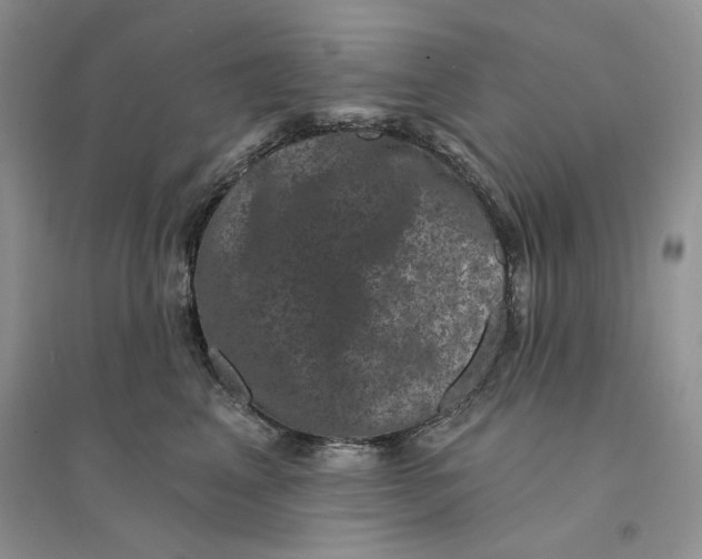 X0000094440617200711291637