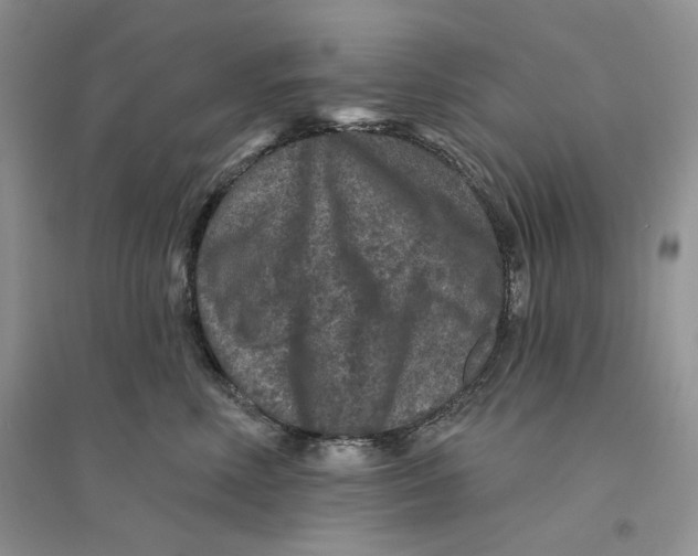 X0000094440618200711291637