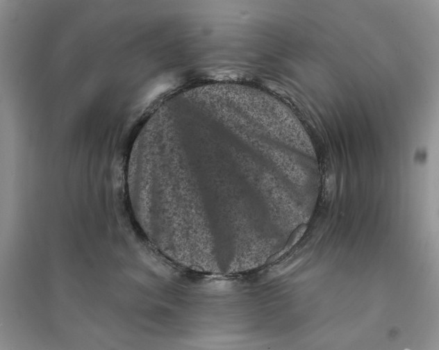 X0000094440620200711291637