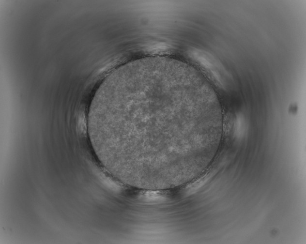 X0000094440622200711291637