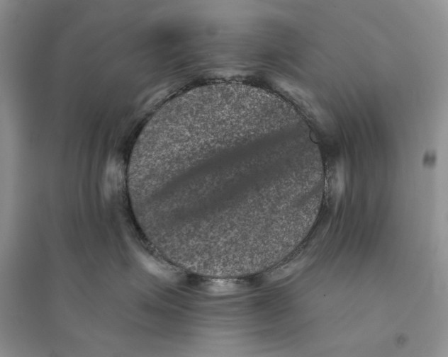 X0000094440623200711291637