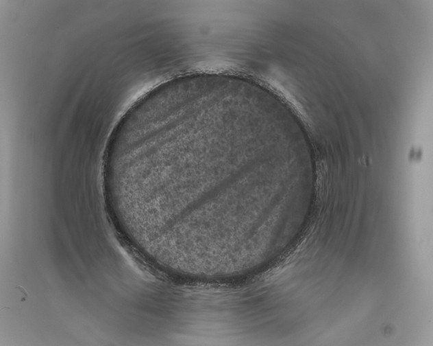 X0000094440626200711291636