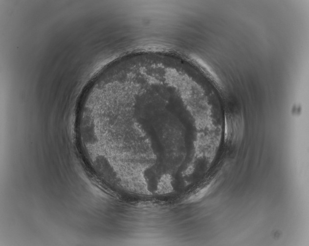 X0000094440627200711291636