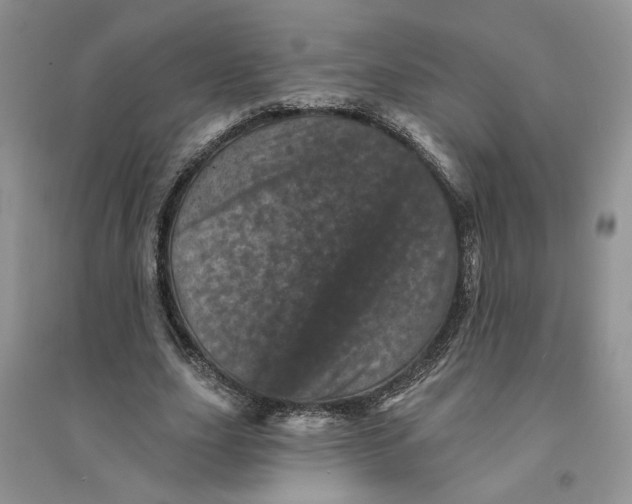 X0000094440631200711291636