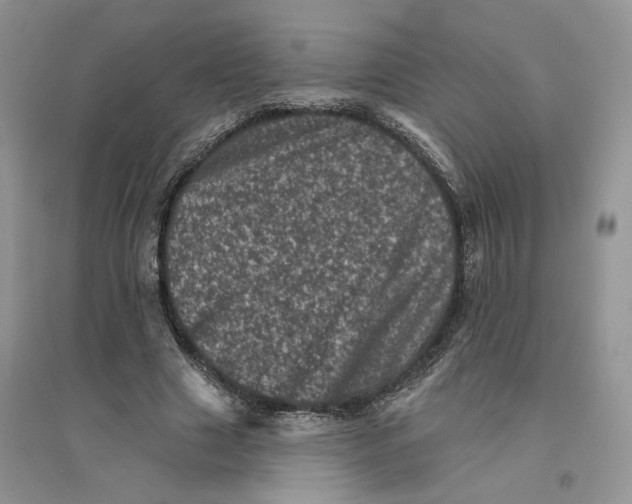 X0000094440633200711291637