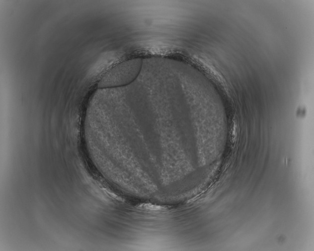 X0000094440639200711291637