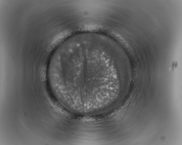 X0000094440640200711291637