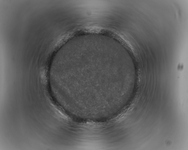 X0000094440641200711291637