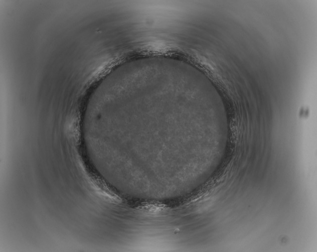 X0000094440642200711291637