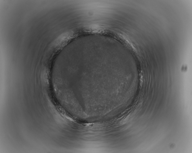 X0000094440643200711291637