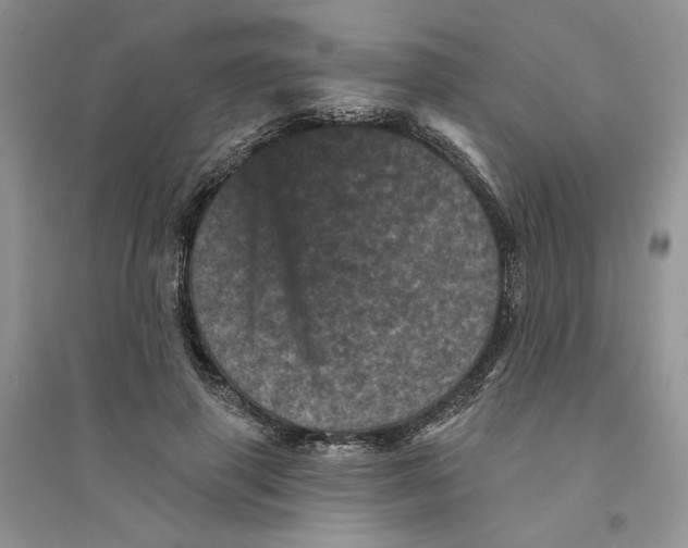 X0000094440645200711291637