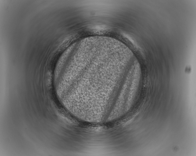 X0000094440646200711291637