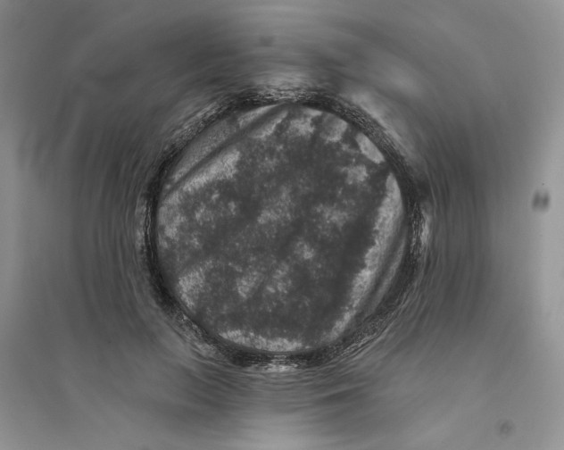 X0000094440647200711291637