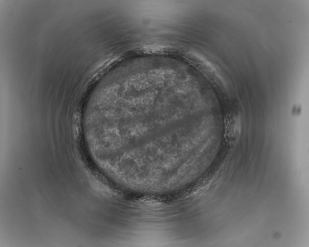 X0000094440648200711291637