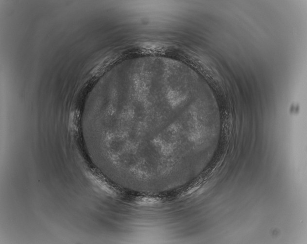 X0000094440649200711291637