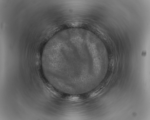 X0000094440651200711291637