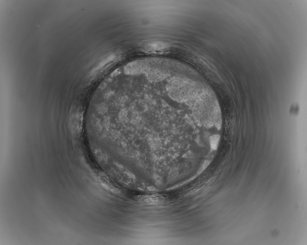 X0000094440652200711291637