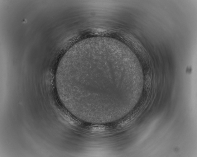 X0000094440653200711291637