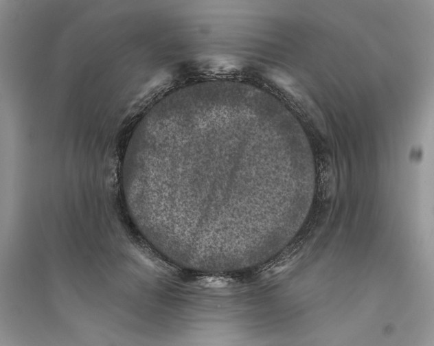 X0000094440654200711291637