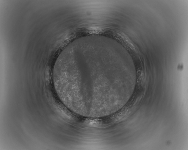 X0000094440655200711291637