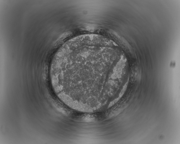 X0000094440656200711291637