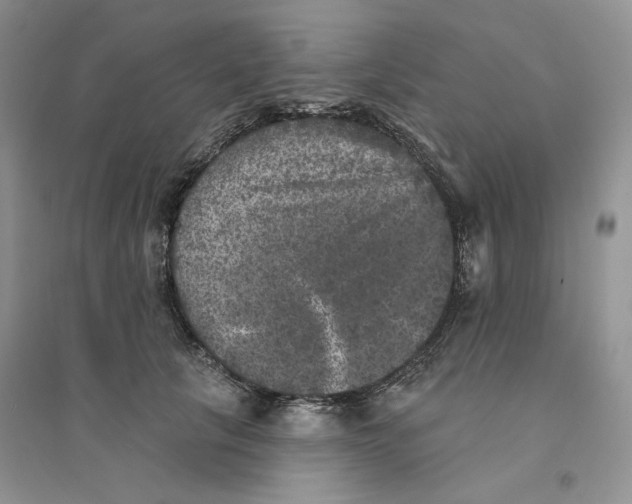 X0000094440657200711291637