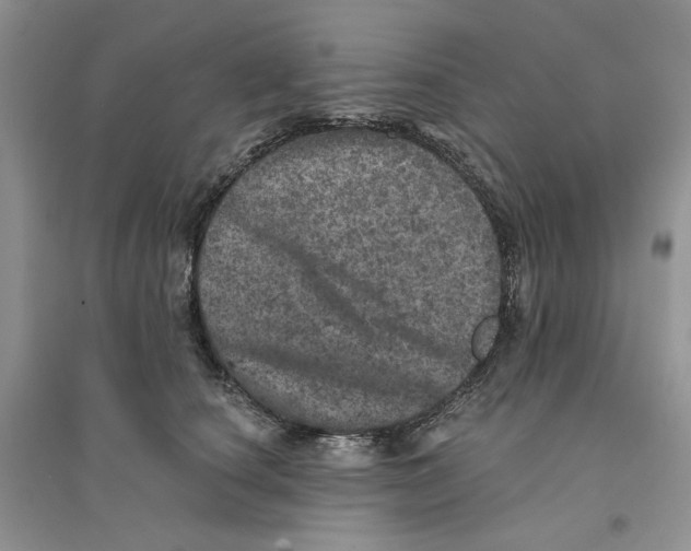 X0000094440660200711291637